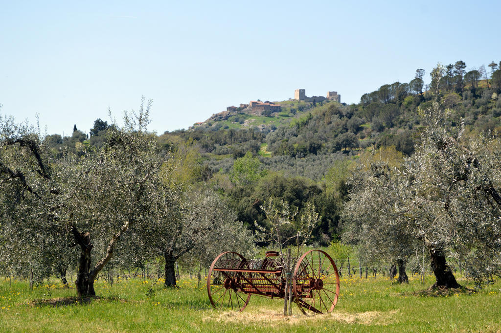 Country House Il Ciliegio Roccatederighi Kültér fotó